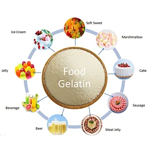 Edible Gelatin 240 Bloom Grade Gelatin Powder for Candy